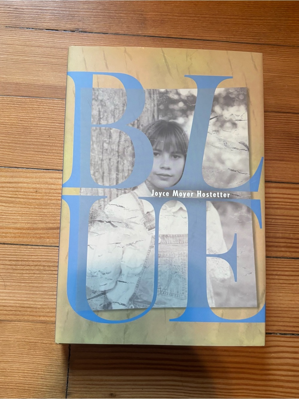 Blue by Joyce Moyer Hostetter Hardcover Book